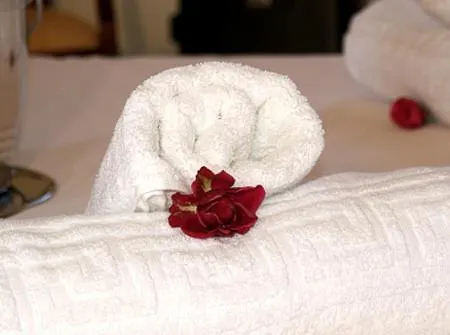 Hotel Venardos 3*